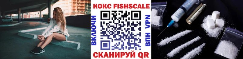 купить наркоту  Катав-Ивановск  Cocaine FishScale 